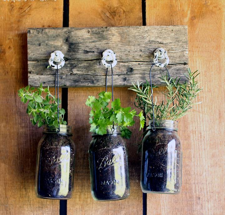 Hanging Garden For Jarred Herbs.