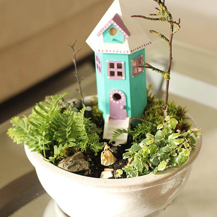 Indoor Fairy Garden.