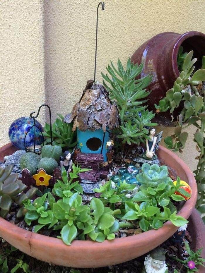 Water Wise Fairy Garden.