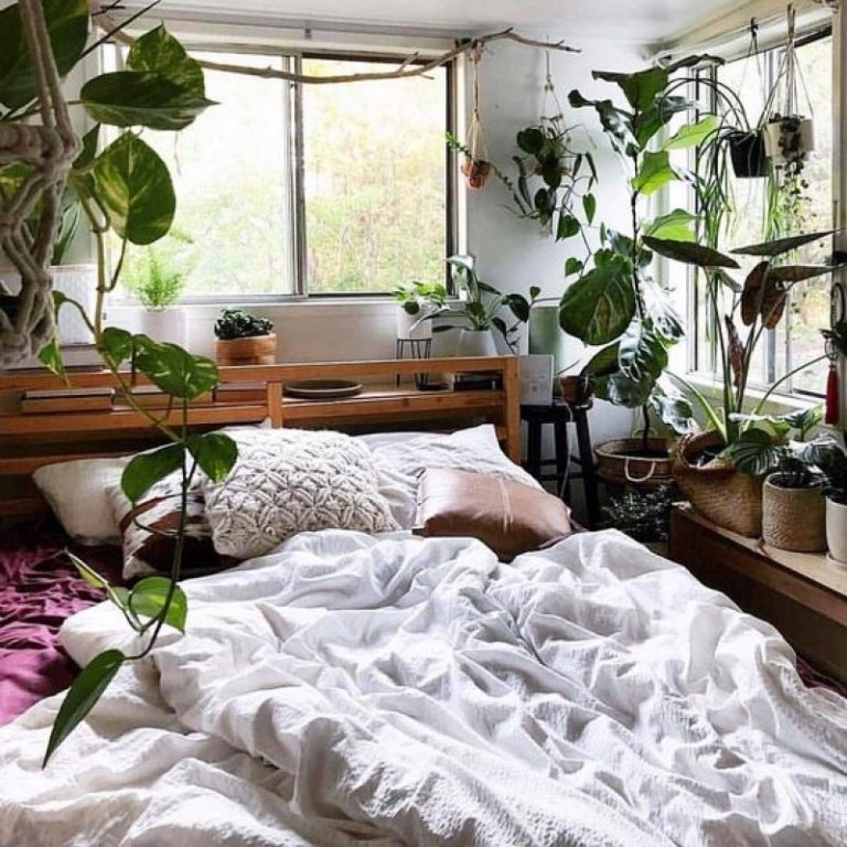 40 Beautiful Indoor Patterned Plants to Create a Lively Atmosphere